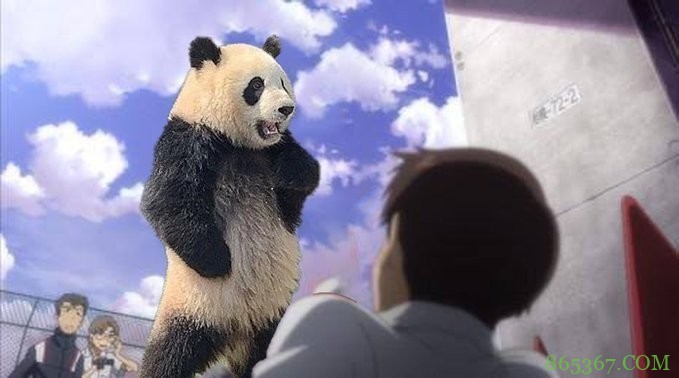 网友吐槽熊猫形似明日香，之前还说人家像JOJO的承太郎呢