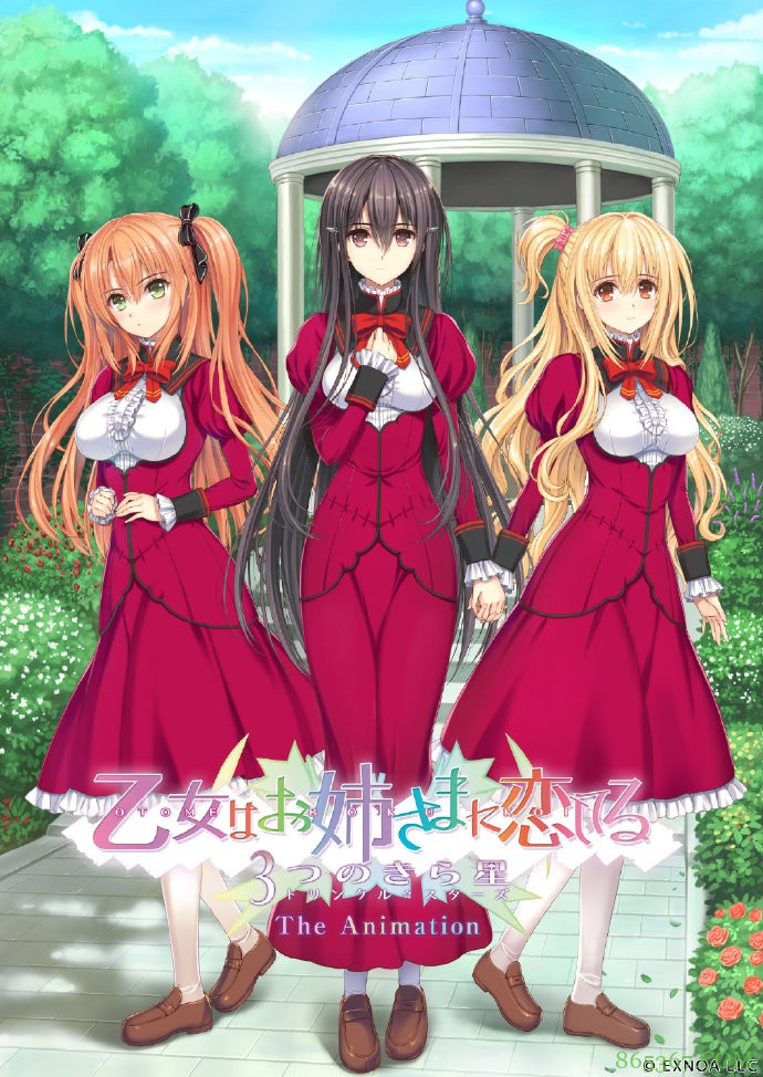 少女爱上姐姐又要出动画了，知道这部作品的朋友应该不小了吧？