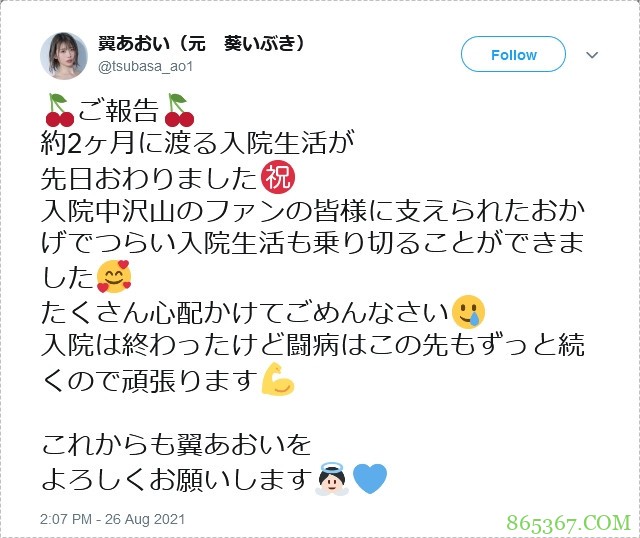 Twitter、IG全删、事务所移除资料、翼あおい消灭!