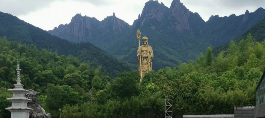 狗之殇，众生的血泪浇灌出多彩的花瓣