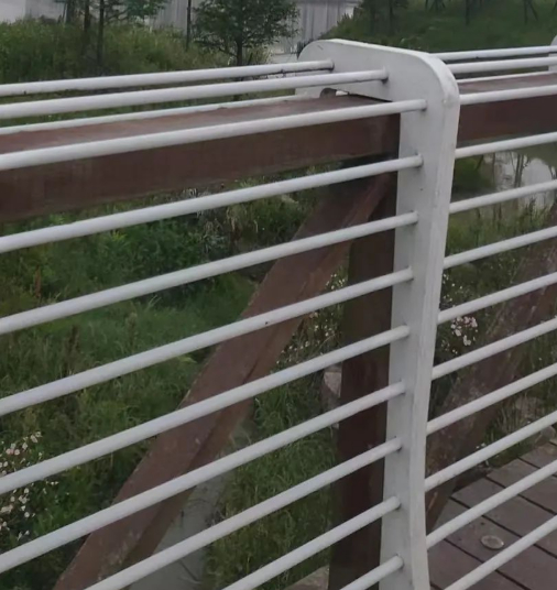 出走半月,归来依然的图片 出走半月,归来依然