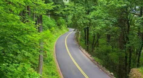 父亲的求学路的图片 父亲的求学路