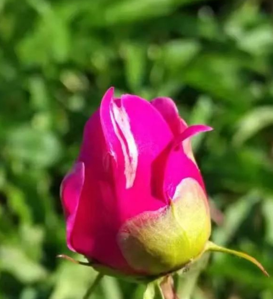 敖汉地名的来历及含义的图片 敖汉地名的来历及含义