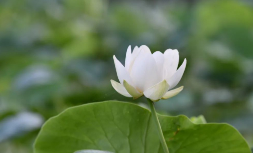 快乐如初的图片 快乐如初