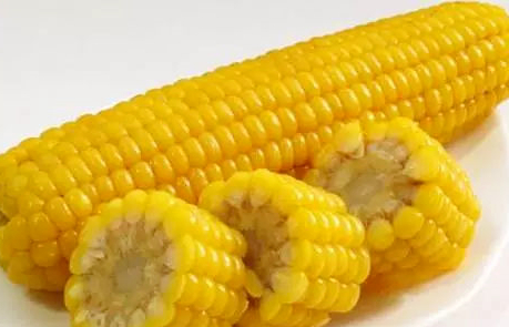 朝朝辞暮,尔尔辞晚,碎碎念安安的图片 朝朝辞暮,尔尔辞晚,碎碎念安安