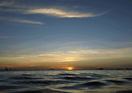 手机掉到池塘里，又捡回来的故事