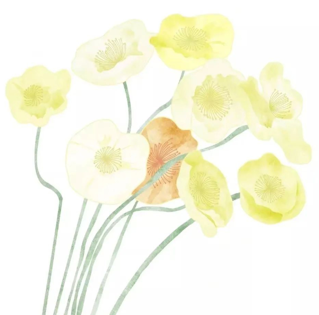 时光印记:远去的墨香的图片 时光印记:远去的墨香