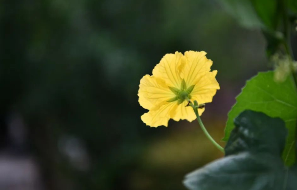 我的父亲的图片 我的父亲