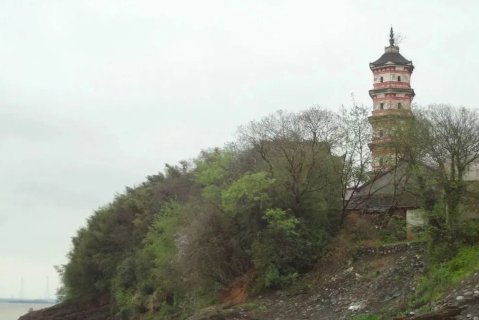 重铸的生命必然更加顽强