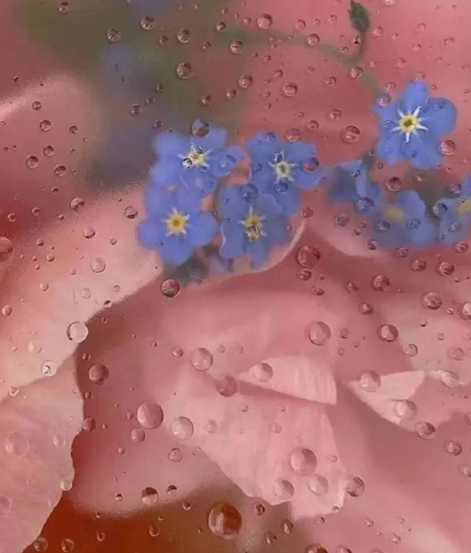 “我没事”的幸福