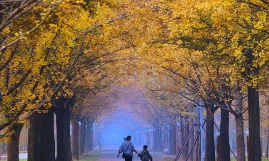 忘记自己是一个教育者