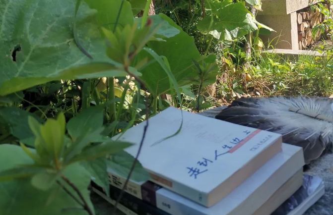 在烈日与暴雨下……