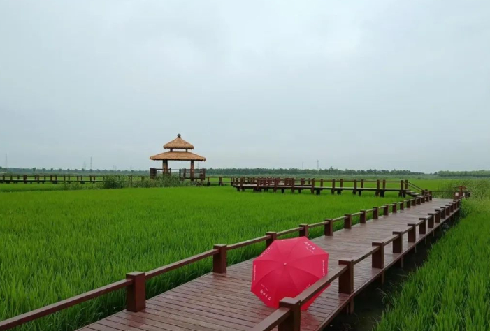 盼暑去风来，愿岁月长安