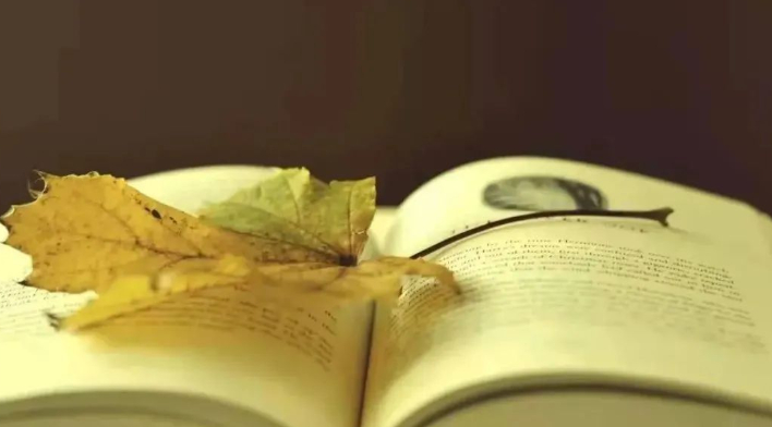 你天，你向上了吗