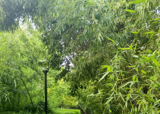 只要在变好，慢一点也无妨