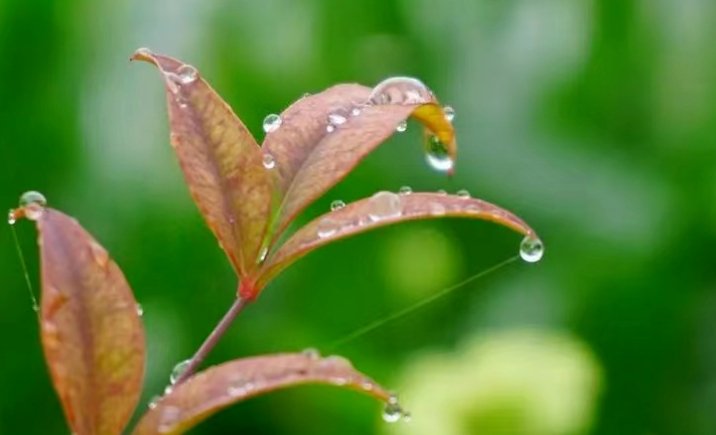 盛夏的每一天都记载了故事的图片 盛夏的每一天都记载了故事