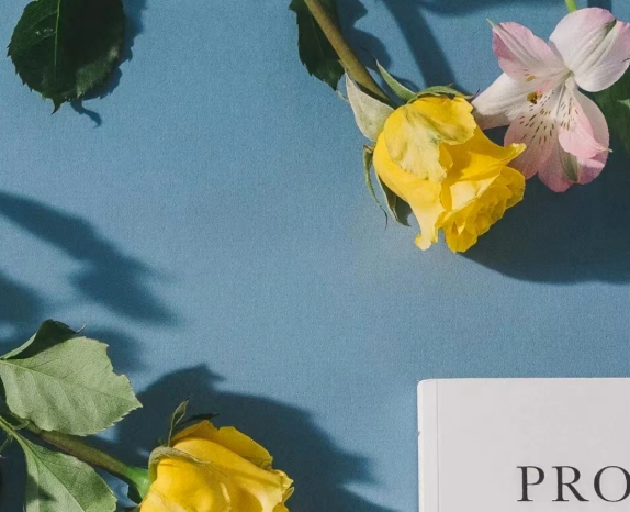 有人见尘埃，有人见星辰