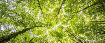 浅谈三观与三观不合的图片 浅谈三观与三观不合