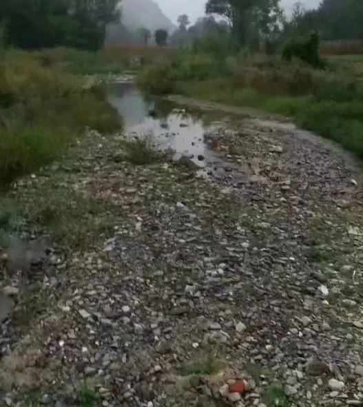 我和我的爸爸妈妈的图片 我和我的爸爸妈妈