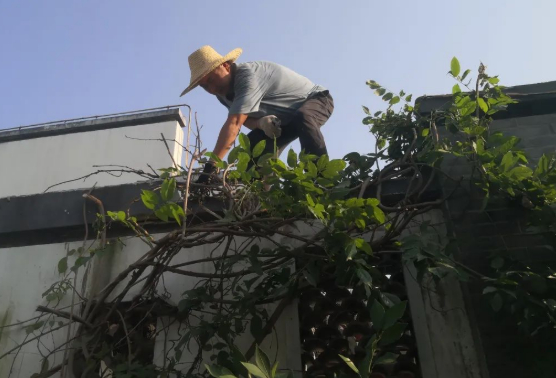 蝴蝶飞过沧海，没有人知道翅膀下面的伤