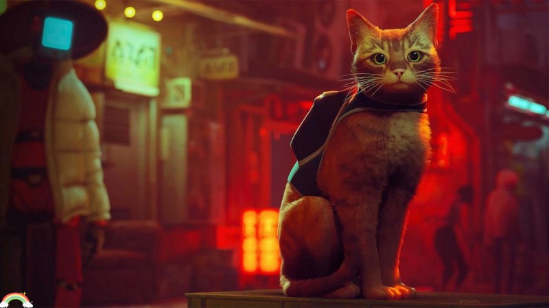 猫咪冒险游戏《Stray》即将上市，发行商与慈善组织合作改善现实浪猫处境