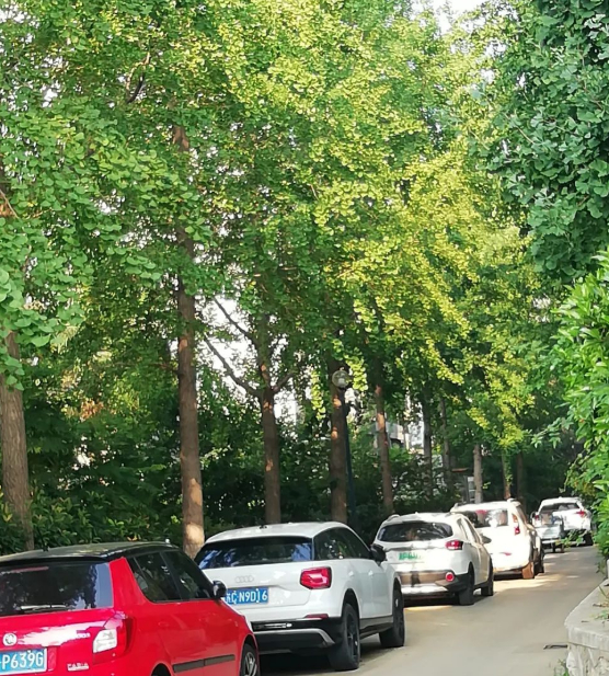 这些都是我的幸福的图片 这些都是我的幸福