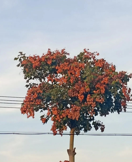 八月。日记三则