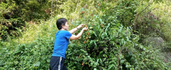 时光剪影的图片 时光剪影