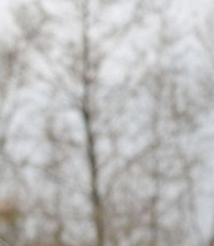 我的大舅的图片 我的大舅