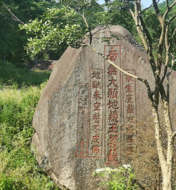 激流勇退，看见人生四季灿烂