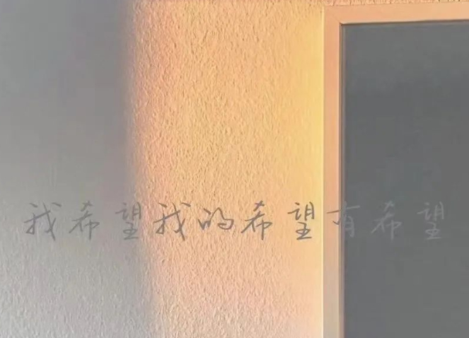 用“蚂蚁之眼”观察课堂的图片 用“蚂蚁之眼”观察课堂