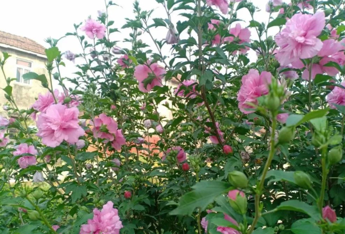 偶遇的图片 偶遇