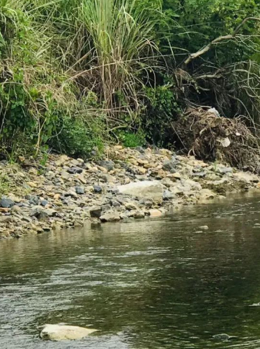 寄自青阳的赏秋“情书”，你查收了吗？