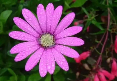 你在我的目光里奔跑