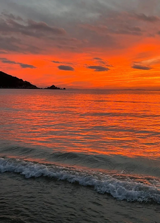 与世界 握手言和