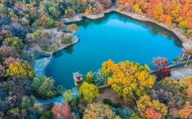 南京的秋天的图片 南京的秋天