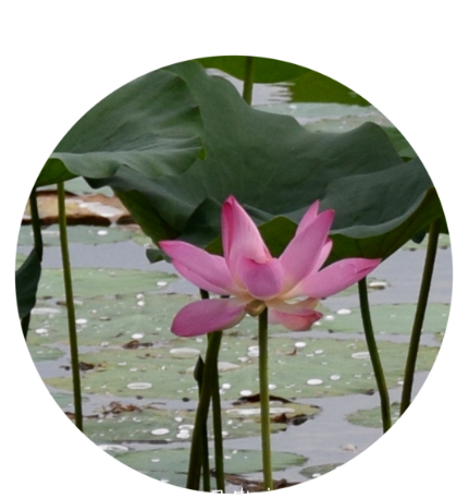 不可事事存心，方能养身