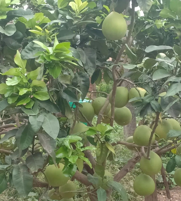 9月24日记的图片 9月24日记