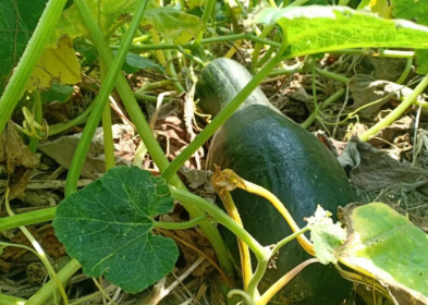 亲人的图片 亲人