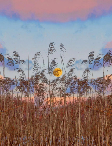 生活原本琐碎的图片 生活原本琐碎