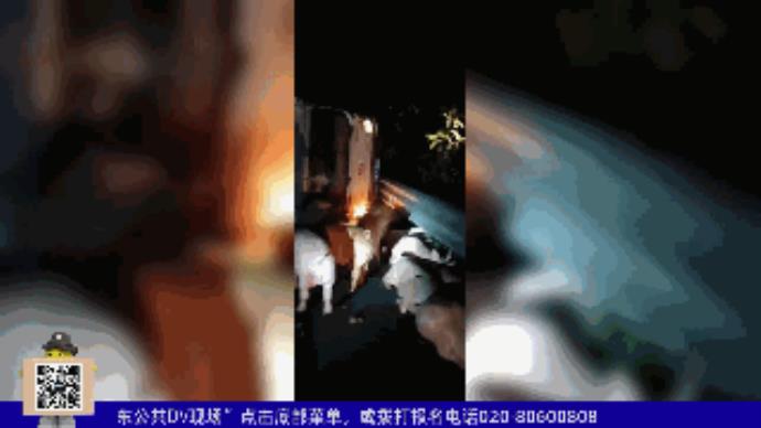 惠州40多头猪大闹高速，系货车侧翻