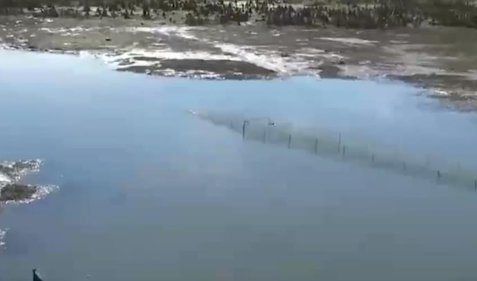 百斤大蟒蛇潜伏在村民鱼塘内偷吃！不能打死，寒冷的北方为何有红尾蚺？