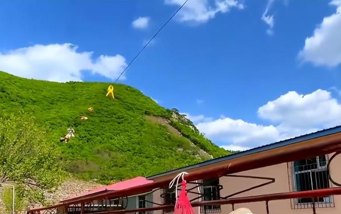 男子回村12万买千平大院，还是农村包容性强！