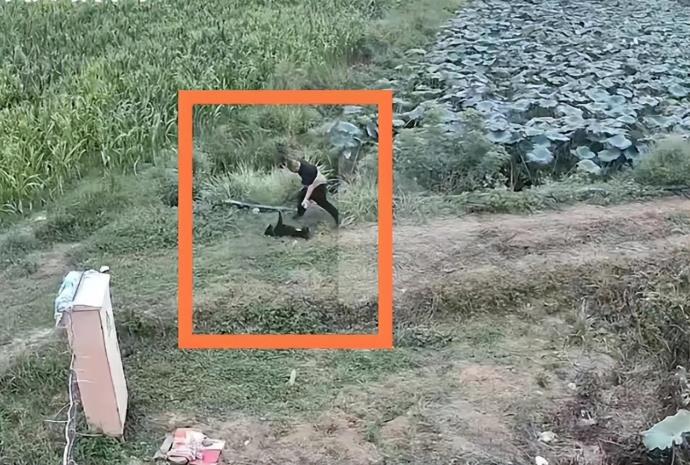 男子被恶狗咬伤后徒手将狗掐死，狗主避责，伤者炖狗肉还击