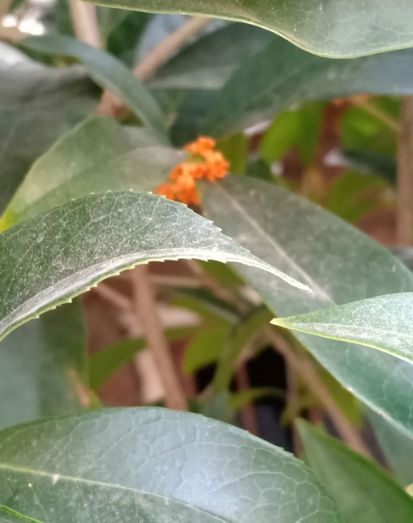 所有的样子，都是我