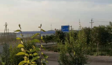 又是一年重阳节