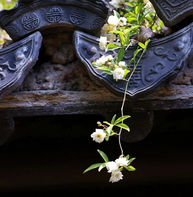 从“宅大人少”“门大内小”说起的图片 从“宅大人少”“门大内小”说起