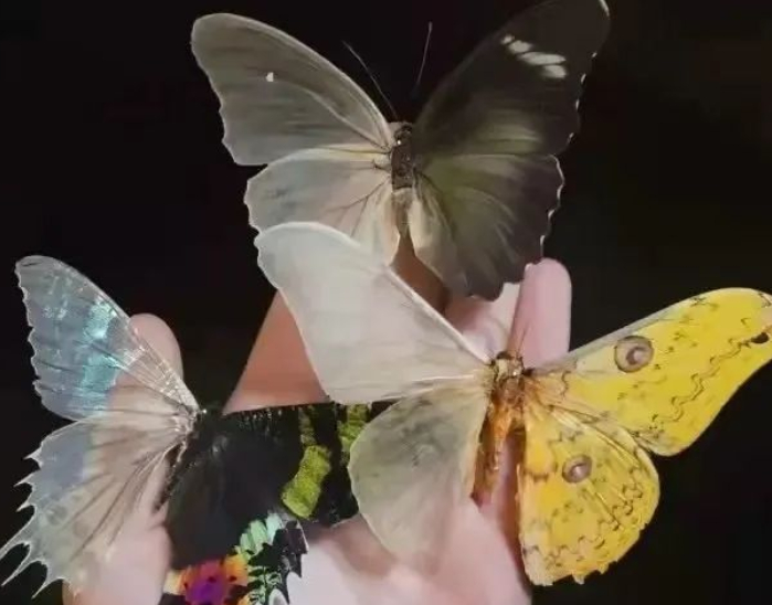 学习拼音,好难啊的图片 第1张 学习拼音,好难啊