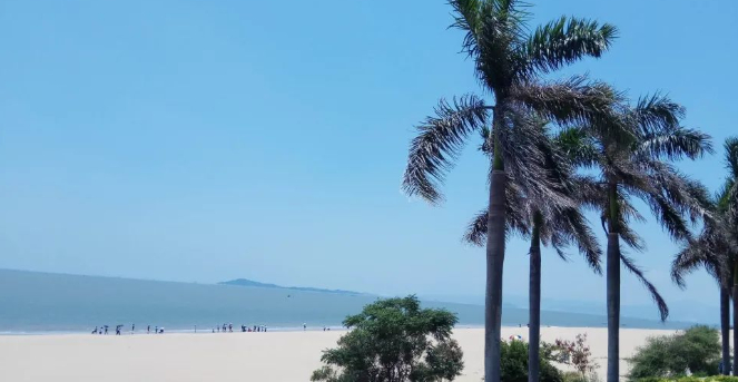 冬日里的夏天的图片 冬日里的夏天