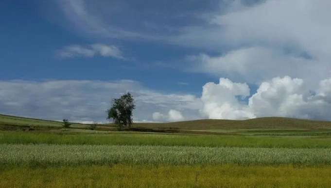 那道扎眼的风景
